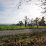 Canon FD 50/1,4 an der NEX-7 – Bild 6