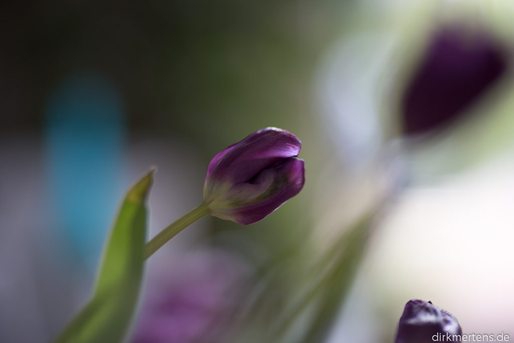 Bildgedanken: In the search of light