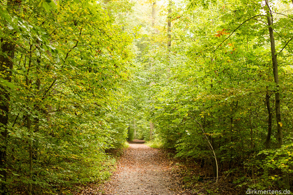 Bildgedanken: Summer to autumn