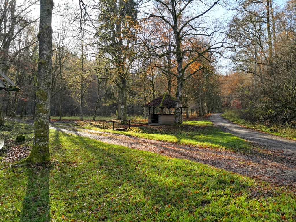 Bild des Monats November: Schönbuch